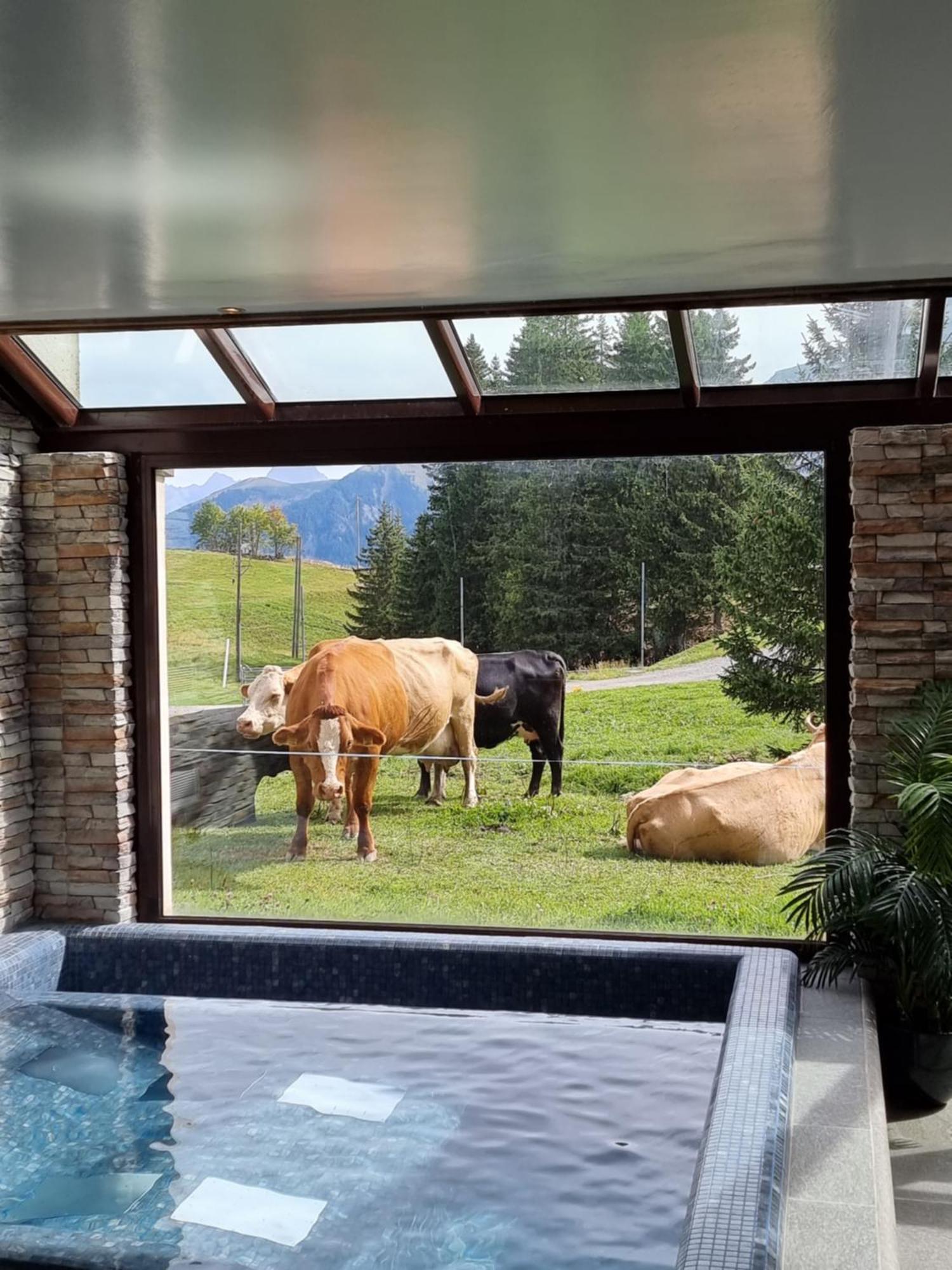 Mountain Lodge, Les Crosets Exterior foto
